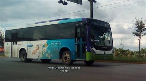 AMBIL SEKARANG