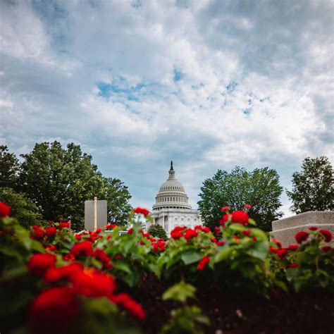 United States Capitol 的图像结果