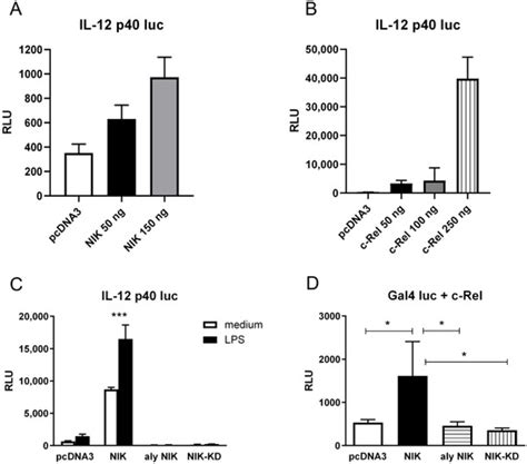 NF-κB-Inducing Kinase Is Essential for Effective c-Rel Transactivation ...