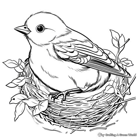 Bird Nest Coloring Pages - Free & Printable!