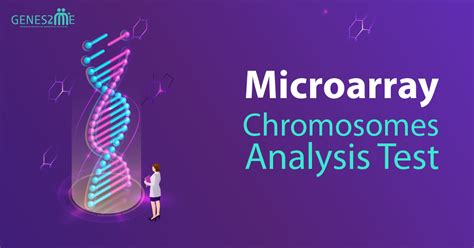 Microarray Test 的图像结果