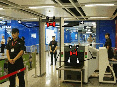 武汉地铁安检升级:开包检查力度加大 部分车站人身扫描-中新网