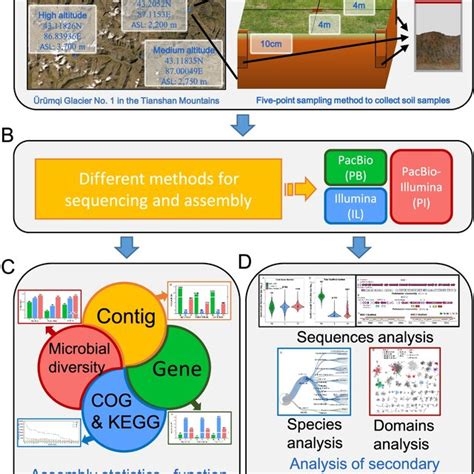 Image result for Research Sample Example