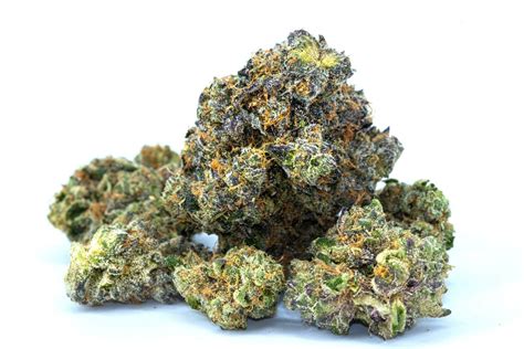 Top 30 Strongest Marijuana Strains | Ozark MMJ Cards