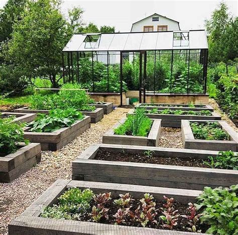 Raised Bed Vegetable Garden Layout: A Comprehensive Guide for Creating ...
