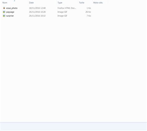 Inserer Une Image HTML 的图像结果