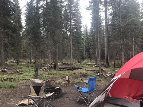 Lake Alva Campground Montana: Reservations Camping  Activities
