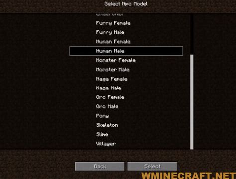 Image result for How to Make Custom Clickable NPCs in Minecraft Java