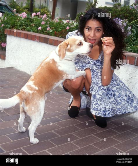 LOS ANGELES, CA - AUGUST 14: (EXCLUSIVE) Actress Constance Marie poses ...