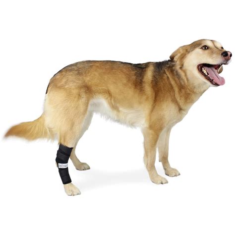 Walkin' Hock Hugger Dog Brace | Extended Hock Joint Support for Dogs ...