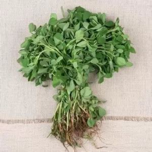 Aro Fenugreek, Methi Seed Price in India - Buy Aro Fenugreek, Methi ...