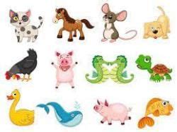 Wild and Domestic Animals - EVS for LKG PDF Download