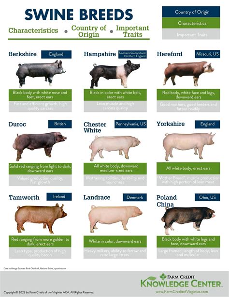 Breed Series | Farm Credit of the Virginias