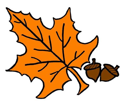 autumn tree leaves png - Clip Art Library