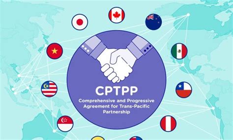Transitional Partnership Program 的图像结果