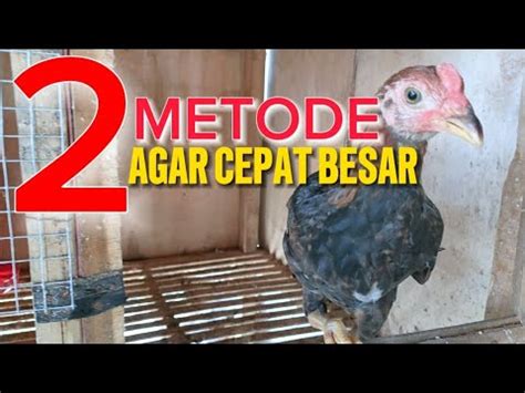 Image result for Merge Sort Stack