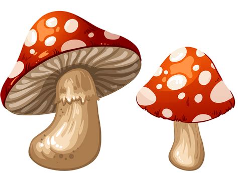 China mushroom clipart - Clipground