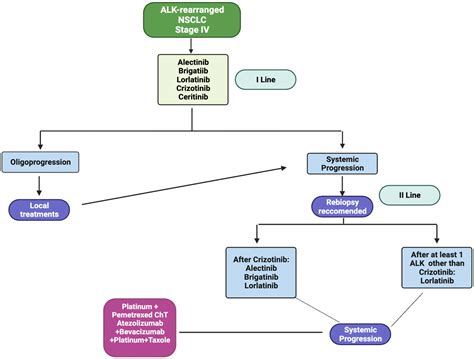 From Development to Place in Therapy of Lorlatinib for the Treatment of ...
