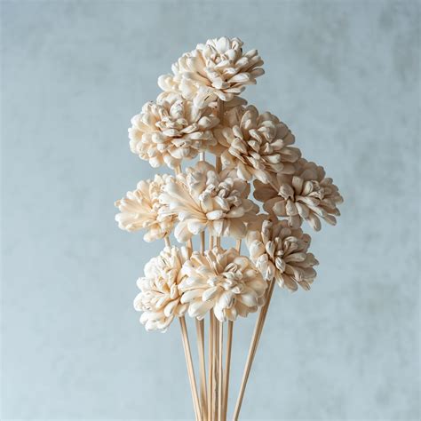 Flowers and Fillers | White Sola Fancy Flower 8 cm On Stem (10 Sticks ...
