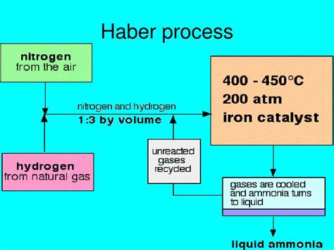 Image result for Test Paper Example