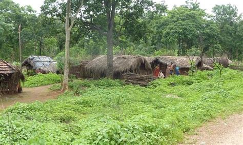 Stop land registrations in Araku, Ananthagiri: Tribal Unions to government