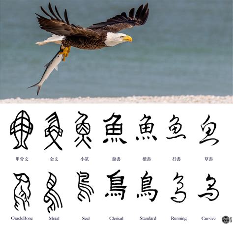 Best Chinese Calligraphy Generators Online - Shufa Life
