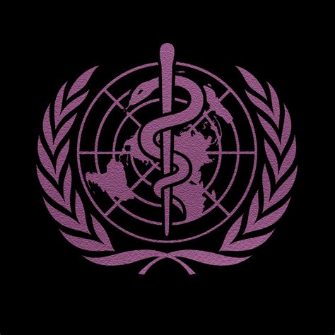 Veritas MUN 2.0 | The Veritas Group