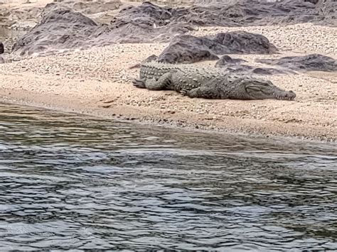 BHEEMESHWARI ADVENTURE & NATURE CAMP (Basavana Halli) - Campground ...