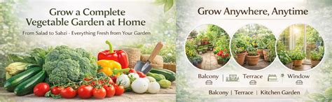 Rock Sollitairre Vegetable Seeds Combo Pack (6 Varieties)| Cherry ...