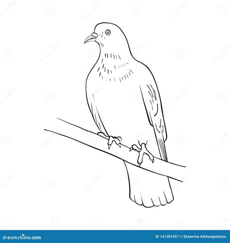 Bird at tree branch stock vector. Illustration of cute - 141201957