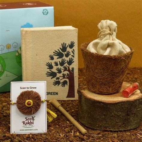 This Rakhi gift your brother Organic Seed Rakhi from Indigifts.
