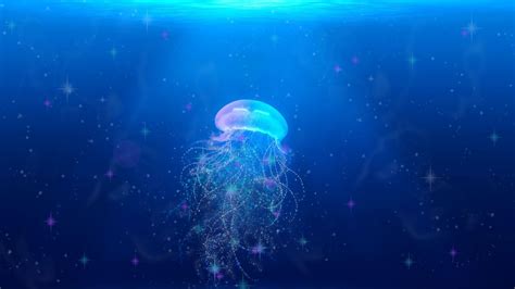 Wallpaper jellyfish, underwater world, swim, tentacles hd, picture, image