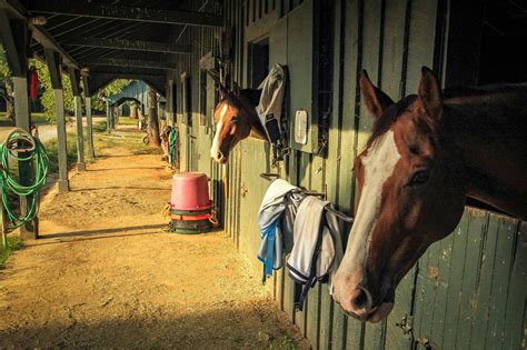 Horse Stable Belmont And Parkside at Todd Briggs blog