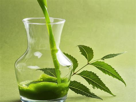 Medicinal properties of neem juice: How to make and use this home ...