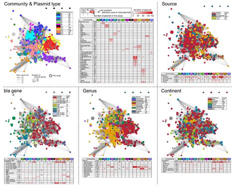 Comprehensive Genome and Plasmidome Analysis of Antimicrobial Resistant ...