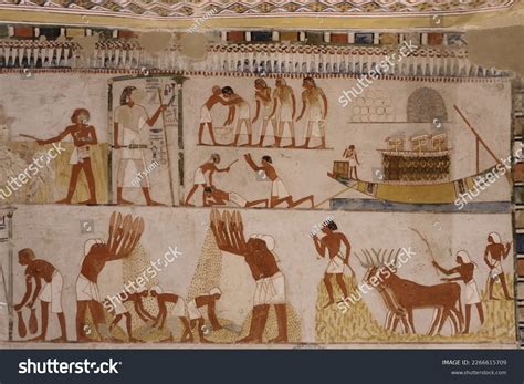 57 The Egyptian Agricultural Museum Images, Stock Photos, 3D objects, & Vectors | Shutterstock