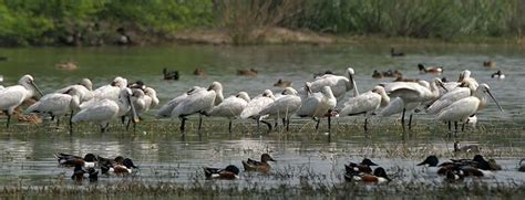 23 Awesome Picnic Spots To Visit Near Gurgaon In 2026