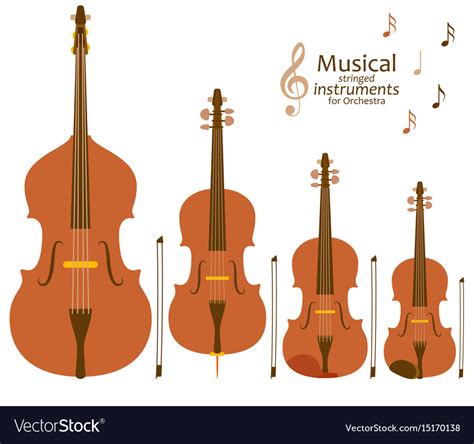 Image result for Orchestral Stringed Instruments