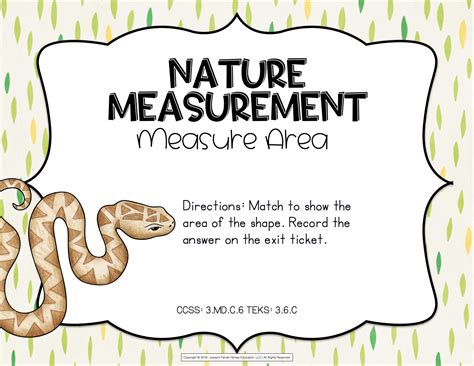 Nature Measurement – Measure Area – Learning Centers Made Easy