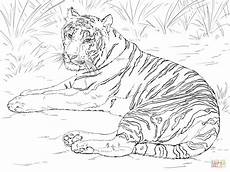 malvorlagen kostenlos tiger ausmalbilder tiger malvorlagen kostenlos zum ausdrucken malvorlagen kostenlos tiger ausmalbilder tiger malvorlagen kostenlos zum ausdrucken