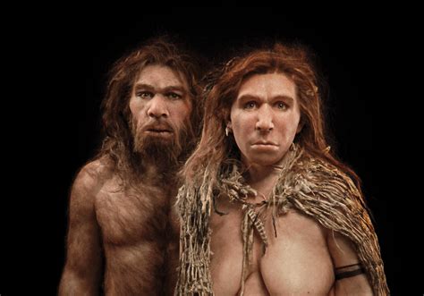 Cro Magnon Vs Neanderthal