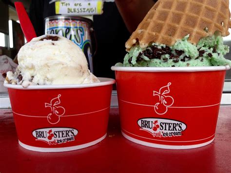 Staff picks: Best flavor of Bruster’s ice cream – The Bark