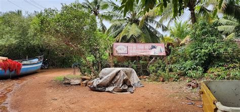 ARTHIGAMYA RESORT & SPA (Gokarna, Karnataka) - Resort Reviews, Photos ...