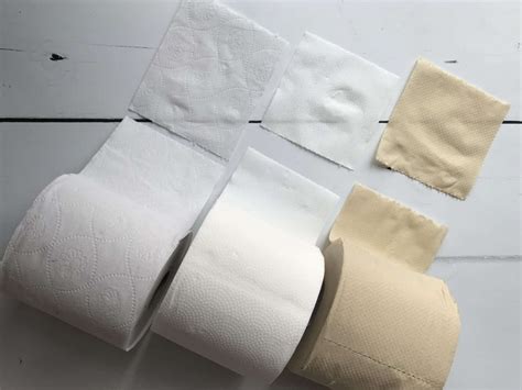 Eco-Friendly Toilet Paper Review. I've Tested 3 to Find Out Which Is ...