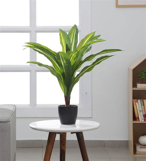 Buy ARICK DECOR 26 inch Artificial Dracaena Silk Plant Evergreen ...