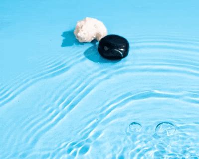Best Aquatic and Citrus Fragrances for Men and Women(LIGHTR + 3 Perfum ...