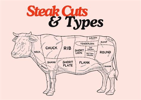What Are the Different Types of Steak? - Cook A Steak