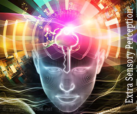 Different Types of Perception 的图像结果