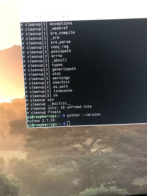 Install Python RPI 的图像结果