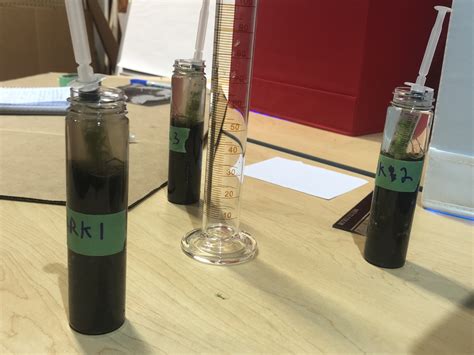 Lessons in photosynthesis: How different wavelengths of light affect the rate of photosynthesis ...